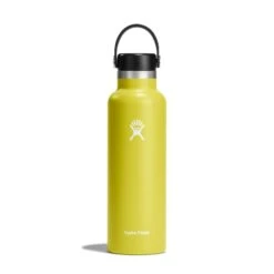 Hydro Flask 21 Oz Standard Mouth Water Bottle -Outdoor Camping Store s21sx752 cactus straighton 1